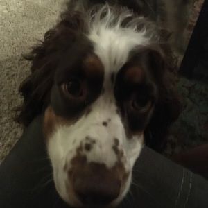 Meet your Posher, Kevin